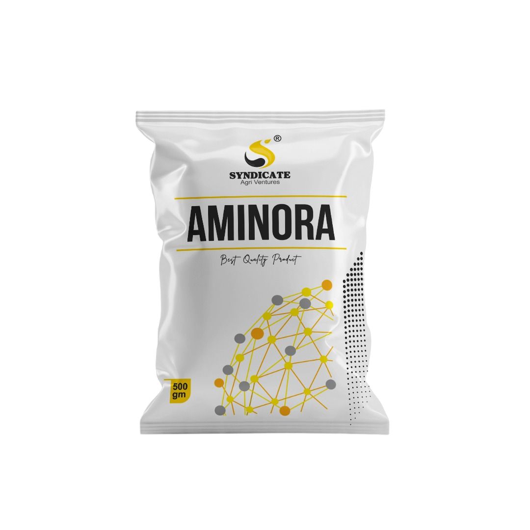 Aminora