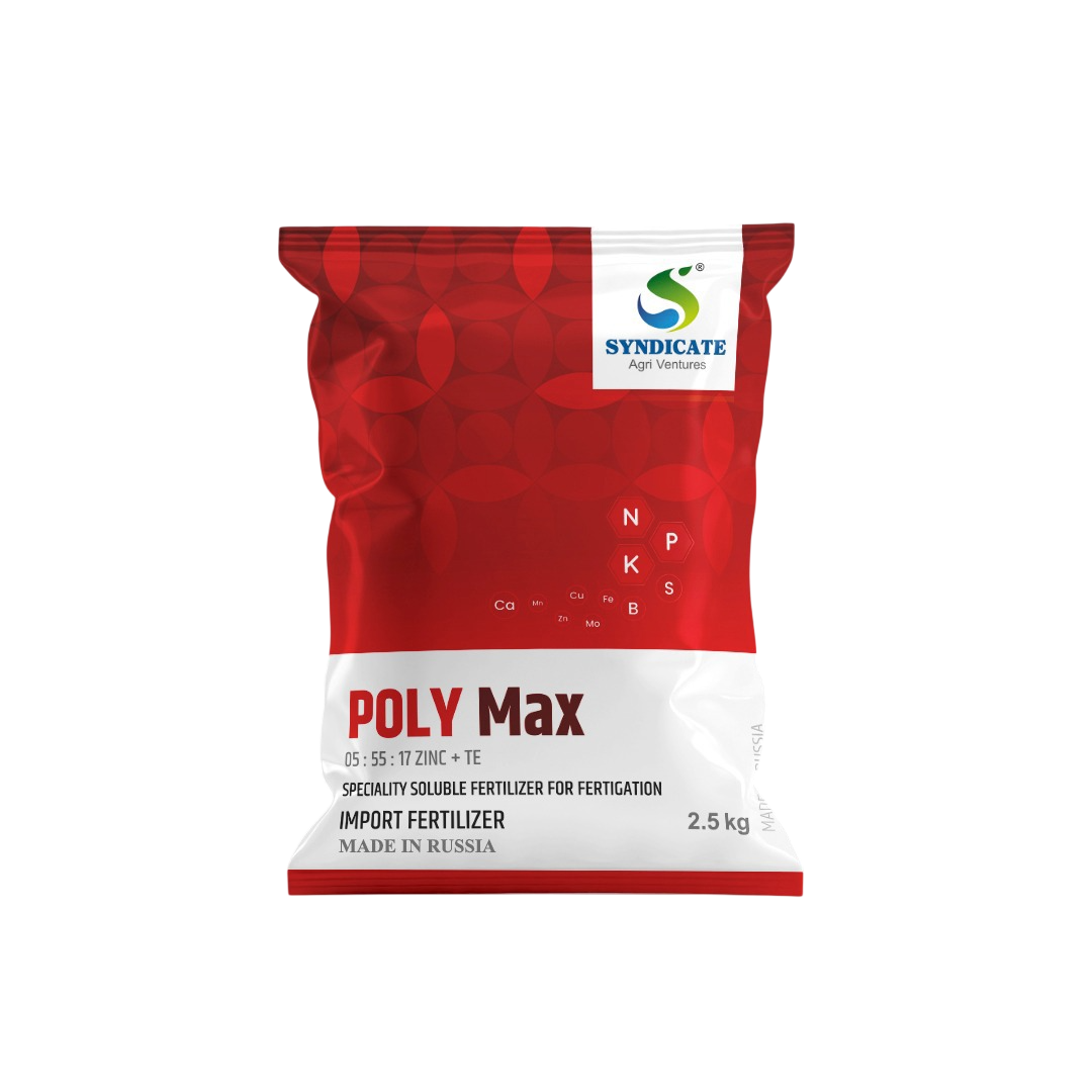 Poly Max