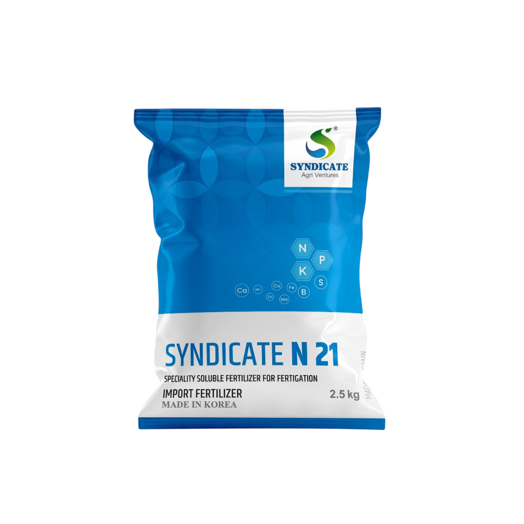Syndicate N 21